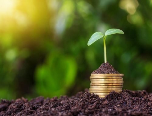 What is Seed Capital? Meaning, Pros & Cons and Examples.