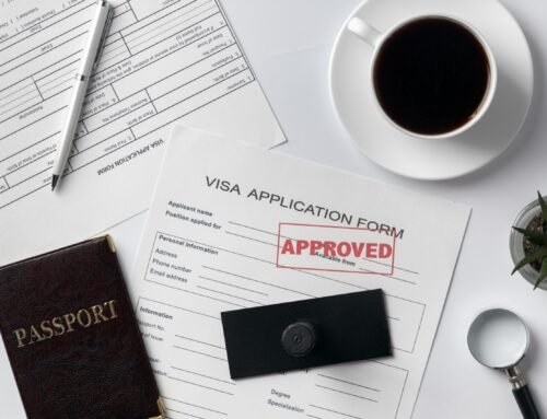 Innovator Founder Visa Success Rate and Common Reasons for Refusal
